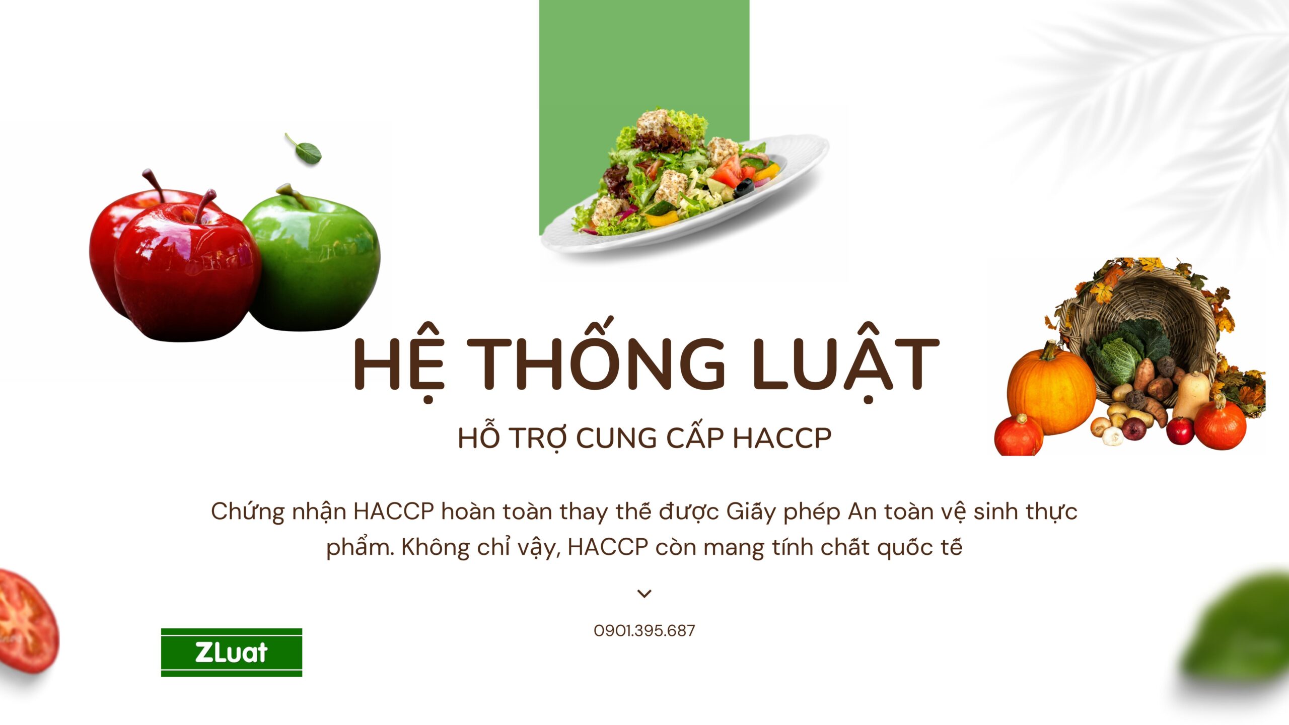[QUANG TIẾN, HÒA BÌNH, HOÀ BÌNH]- Thủ tục cấp giấy chứng nhận HACCP – Trọn gói – Rẻ – Nhanh phạm vi Quang Tiến, Hòa Bình, Hoà Bình - Ảnh 1