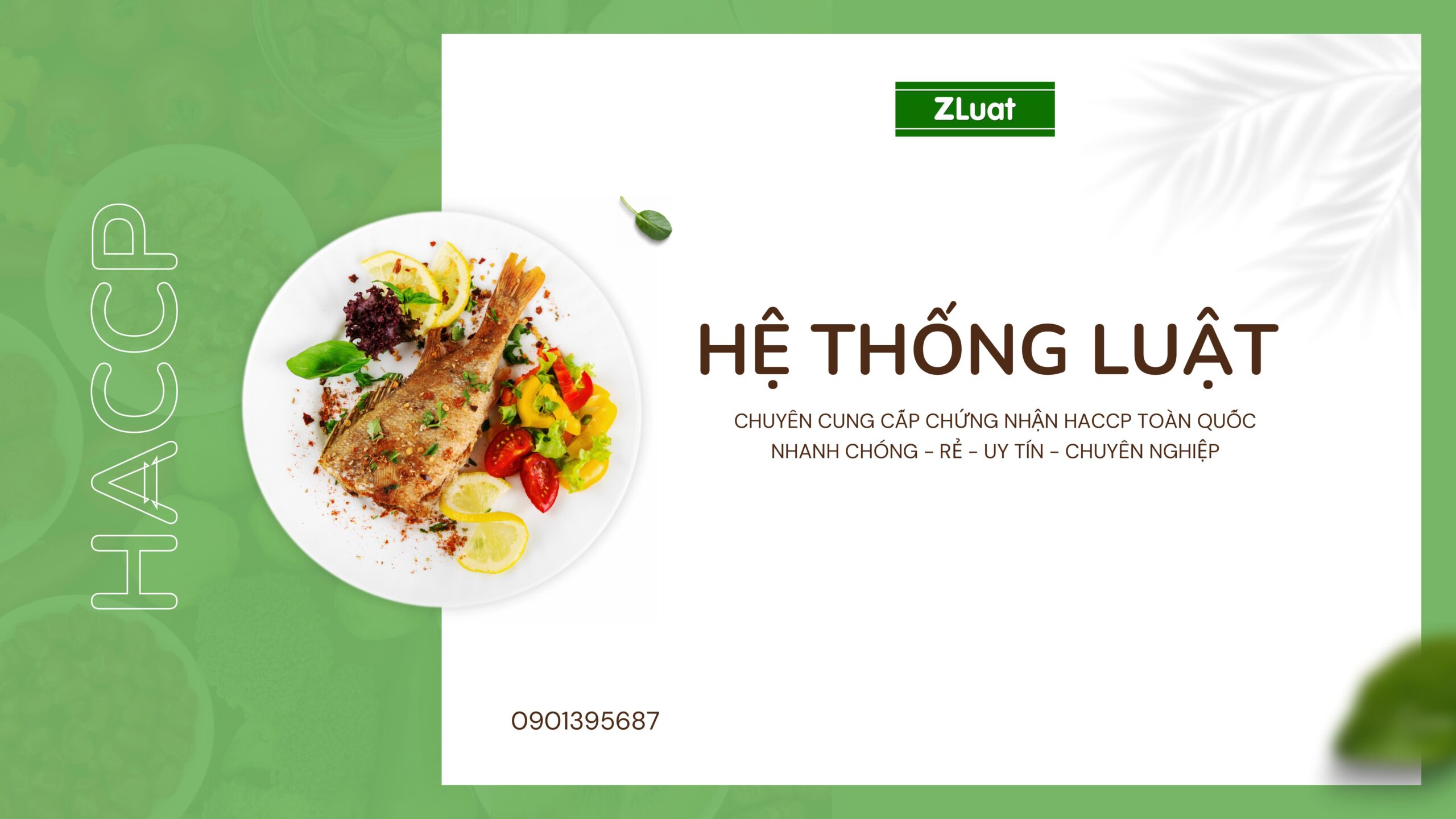 [HACCP.ZLUAT.VN] – Hỗ trợ làm giấy chứng nhận quốc tế HACCP – Rẻ – Trọn gói – Nhanh ở khu vực xã Hóc Môn, Thành phố Hồ Chí Minh - Ảnh 1