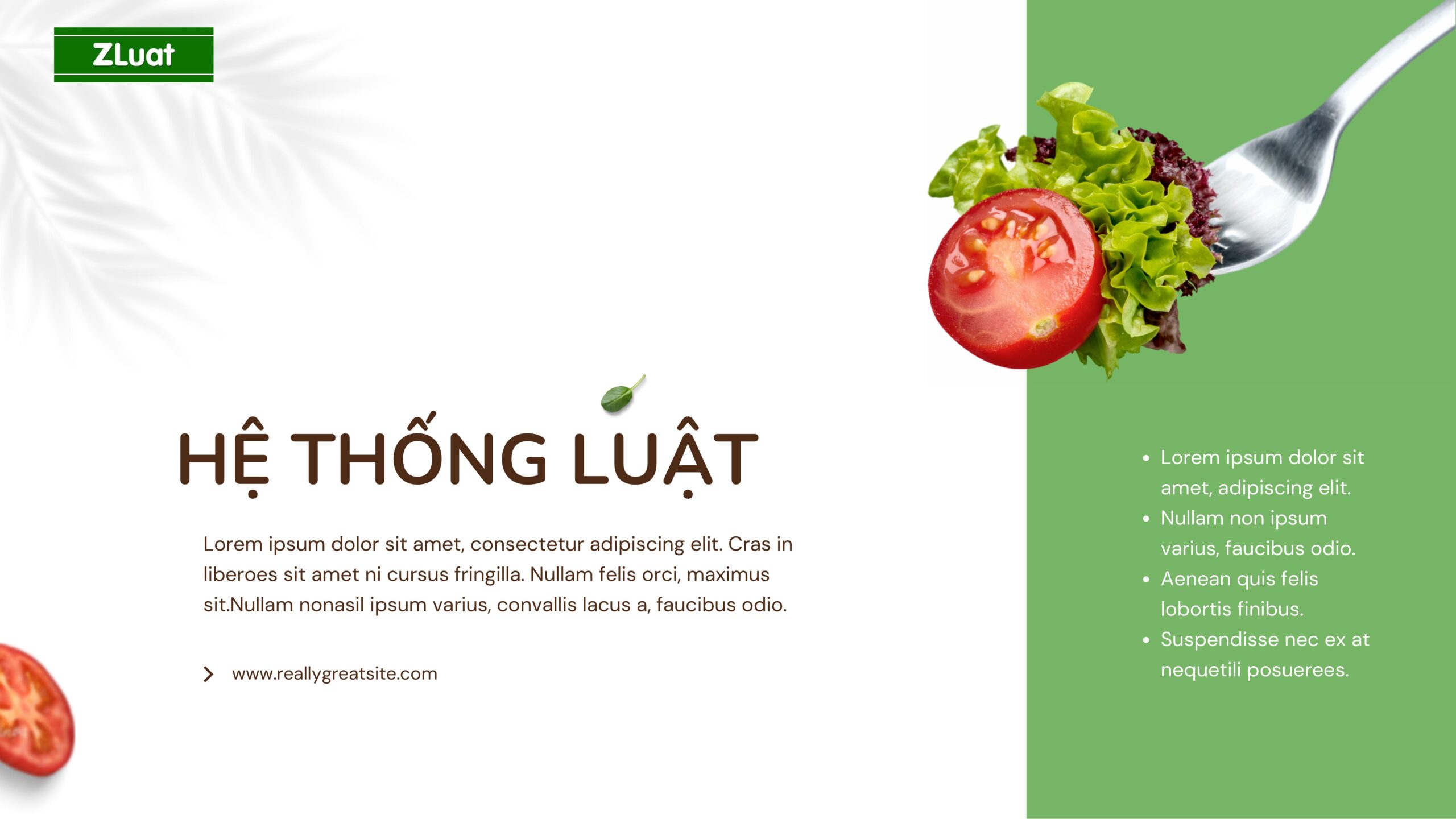 [HACCP.ZLUAT.VN] – Thủ tục làm giấy chứng nhận quốc tế HACCP – Rẻ – Trọn gói – Nhanh khu vực xã An Nhơn Tây, Thành phố Hồ Chí Minh - Ảnh 1